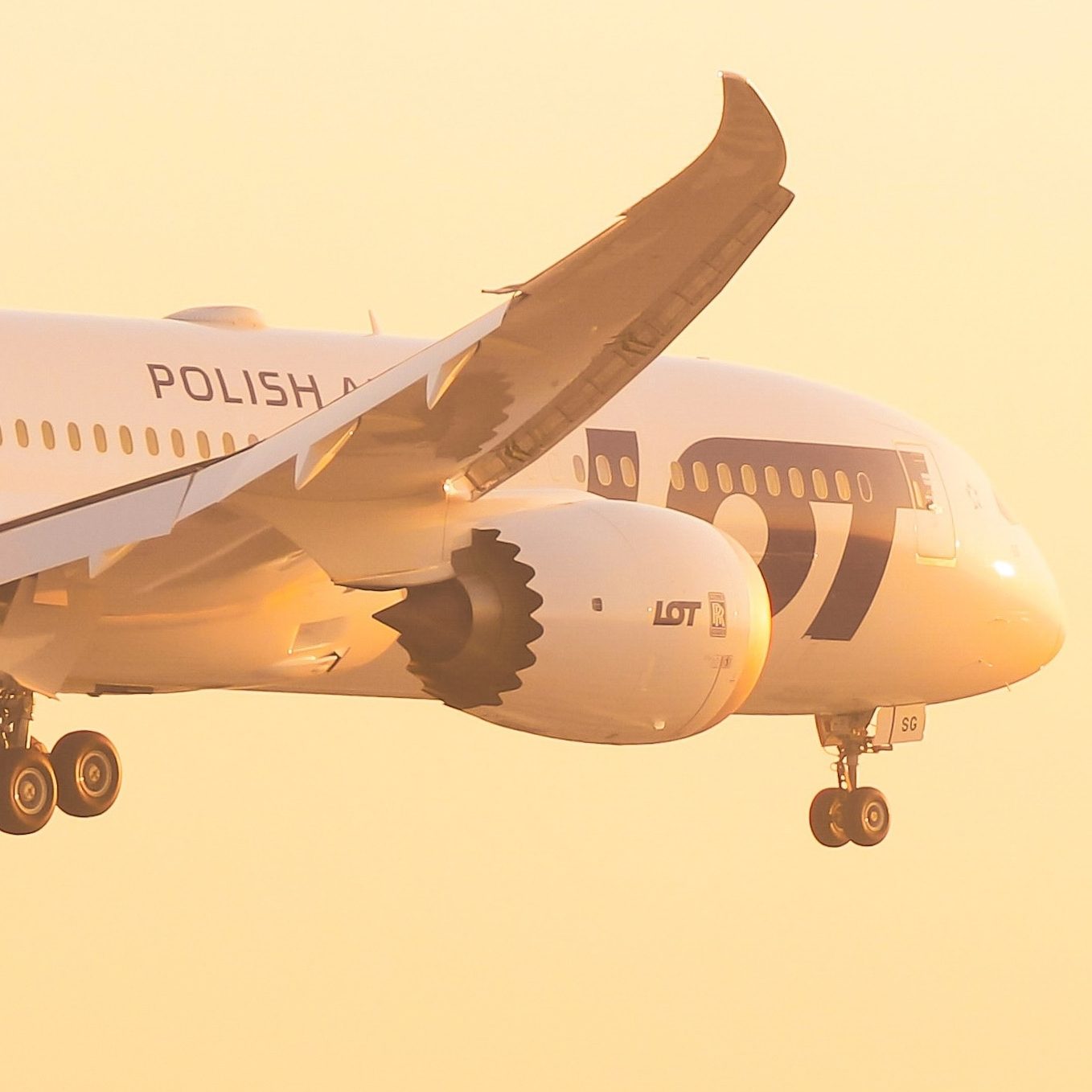 Boeing 787 landing in the morning at Chopin Airport